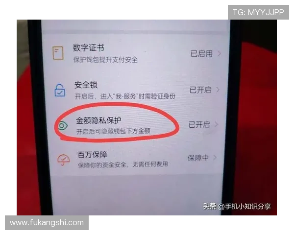 如何在凯发体育平台网页版上进行安全支付，保障您的资金安全